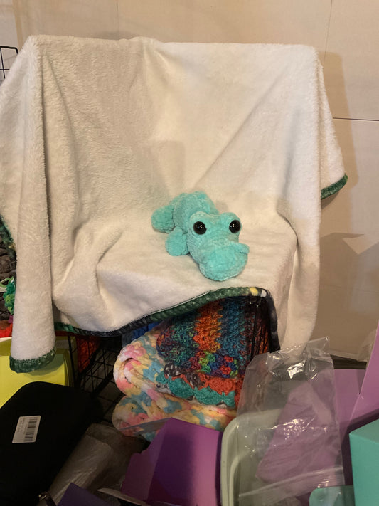 Alligator