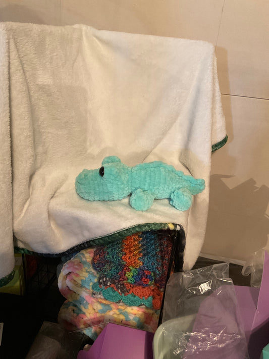 Alligator